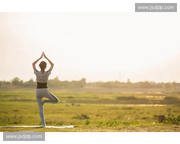 恢复节拍引领身心节律重建与日常活力全面提升